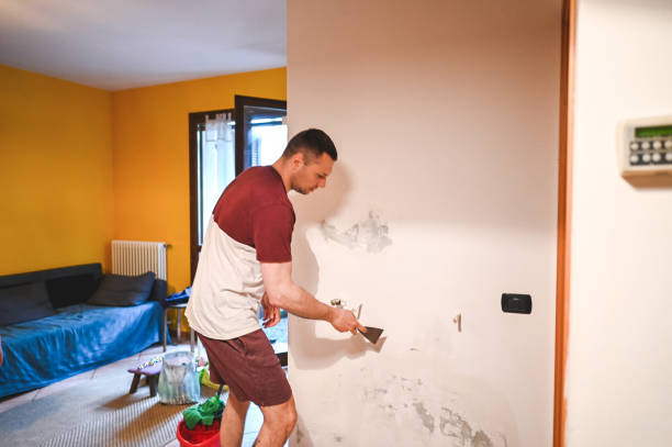 Best Health and Safety Mold Remediation in Midway North, TX